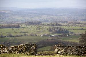 barley pendle hill 10.jpg